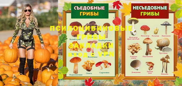 трава Армянск