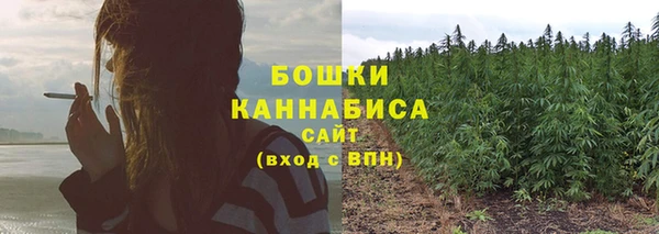 трава Армянск