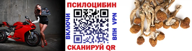 купить наркоту  Аркадак  Псилоцибиновые грибы ЛСД 